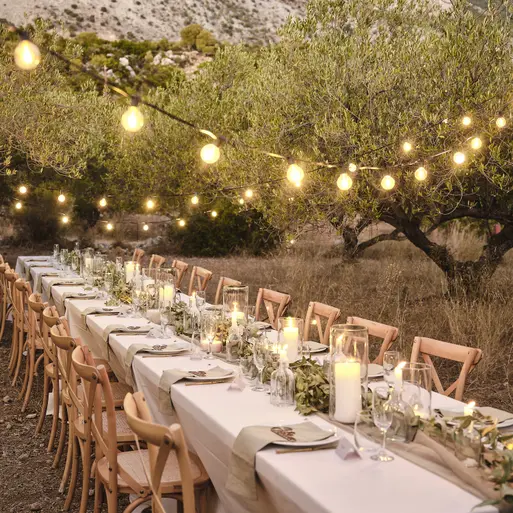 Festoon lights wedding discount